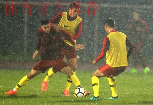 国足冒雨备战 里皮满意球队训练表现 国足冒雨备战 里皮满意球队训练表现